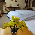 Freihof 3* Оберхармерсбах