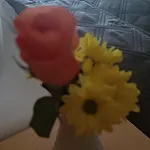 Отель Freihof Оберхармерсбах