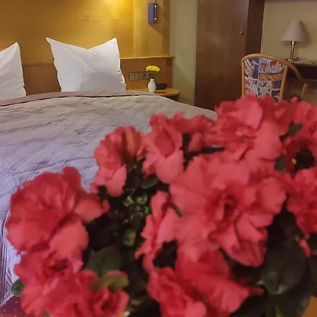 Hotel Freihof 3* Oberharmersbach