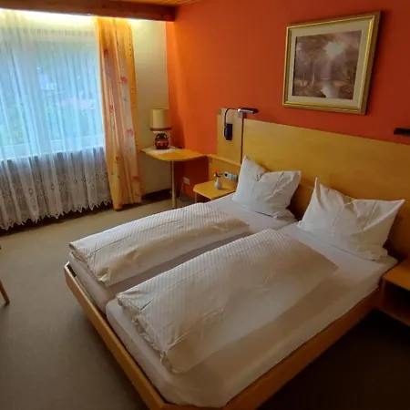 Freihof 3* Oberharmersbach