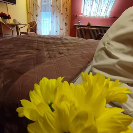 Freihof Szálloda Oberharmersbach