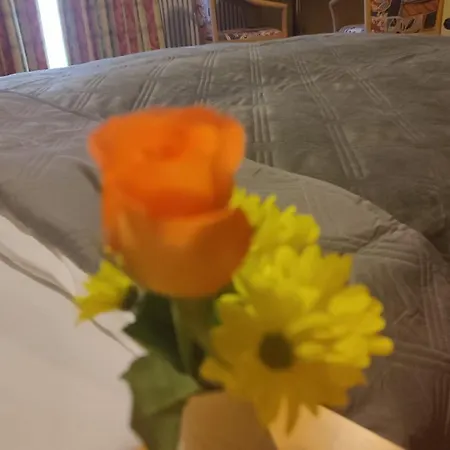 Freihof Oberharmersbach