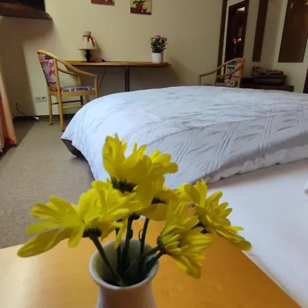 Freihof 3* Oberharmersbach