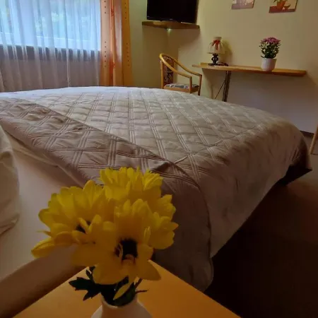 Hotel Freihof 3* Oberharmersbach