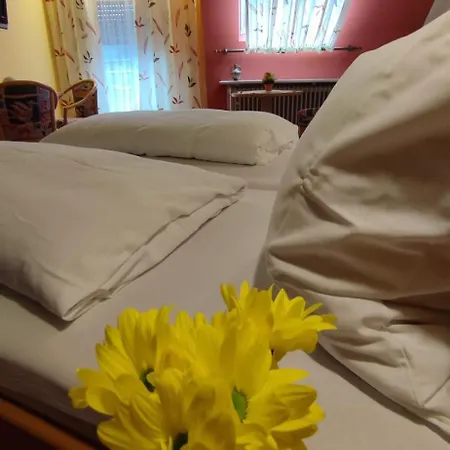 Hotel Freihof 3*