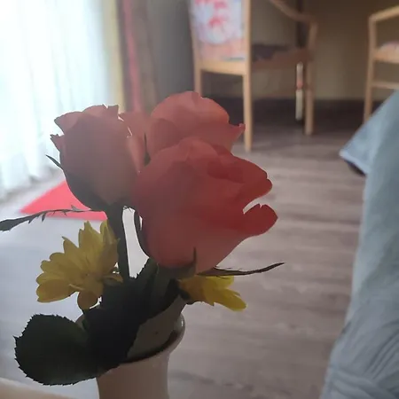 Freihof Szálloda 3*