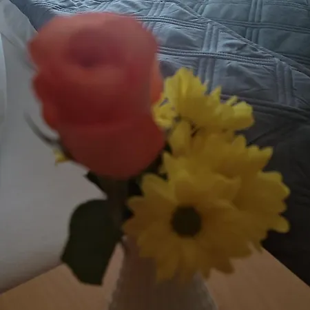 Szálloda Freihof Oberharmersbach