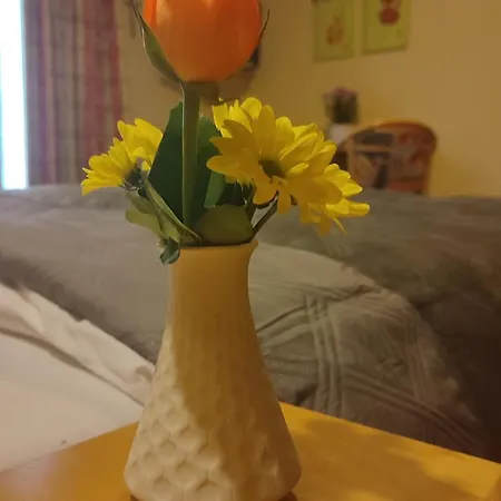 Freihof Oberharmersbach