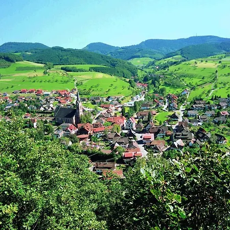 Hotel Freihof Hotel Oberharmersbach